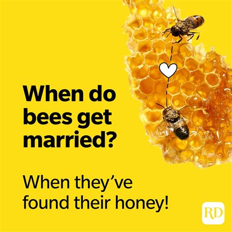 bee pun